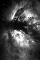 mlhovina NGC 2024